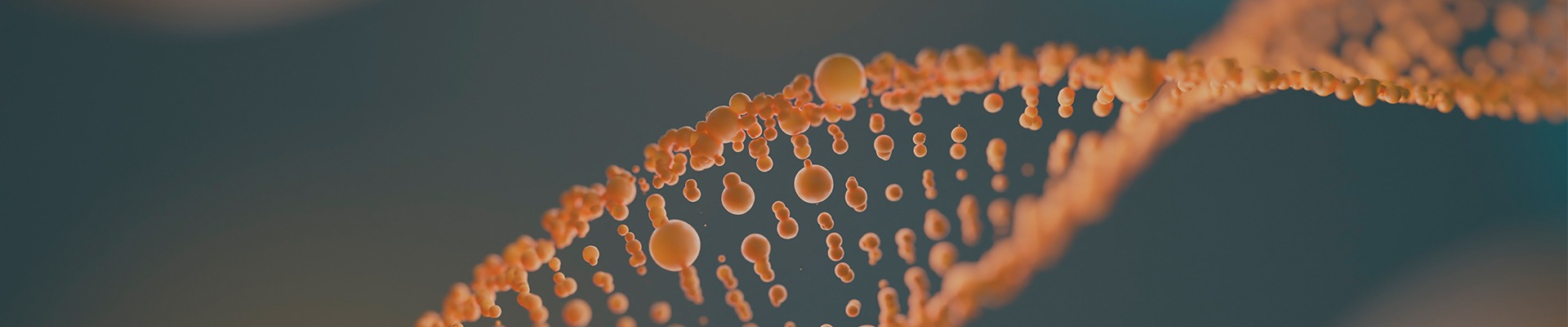 Genetic Engineering vs. Traditional Breeding: Methods, Ethics and Future Prospects