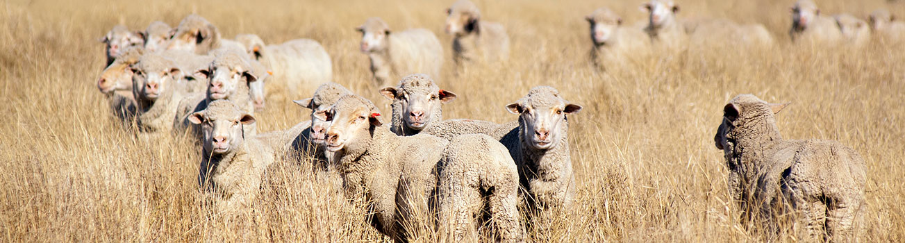 Flock profile testing