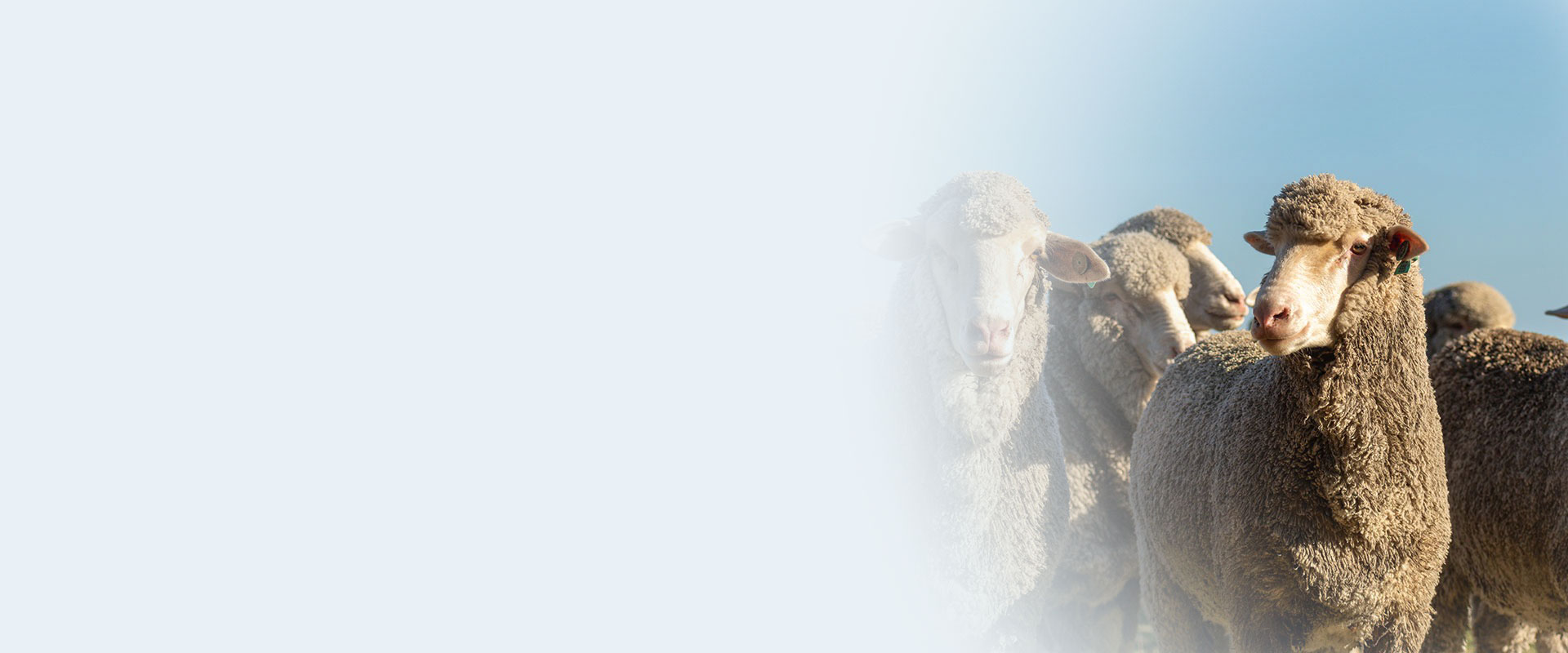 background-image-001-CTA-1